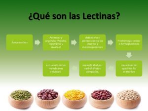 lectinas-toxicologia-2-638
