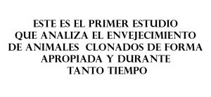 Sin título-2.psd1111111