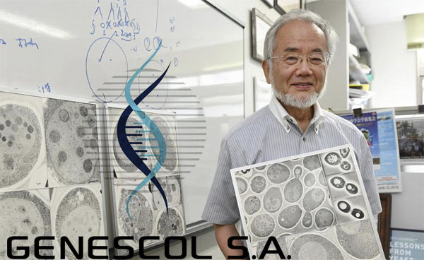 El Nobel en Medicina y Fisiología fue para Yoshinori Ohsumi por su contribución al entendimiento de la autofagia.