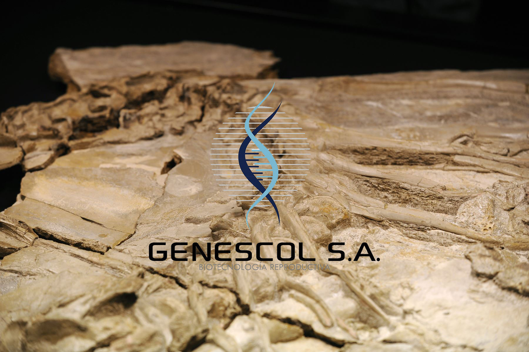 000330750w